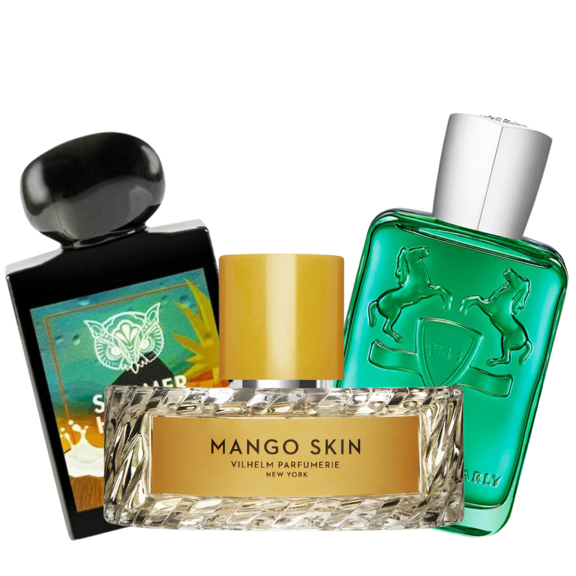 Niche Summer Bundle