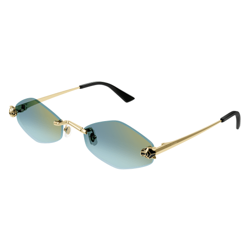 Lunettes Cartier CT0433S-003
